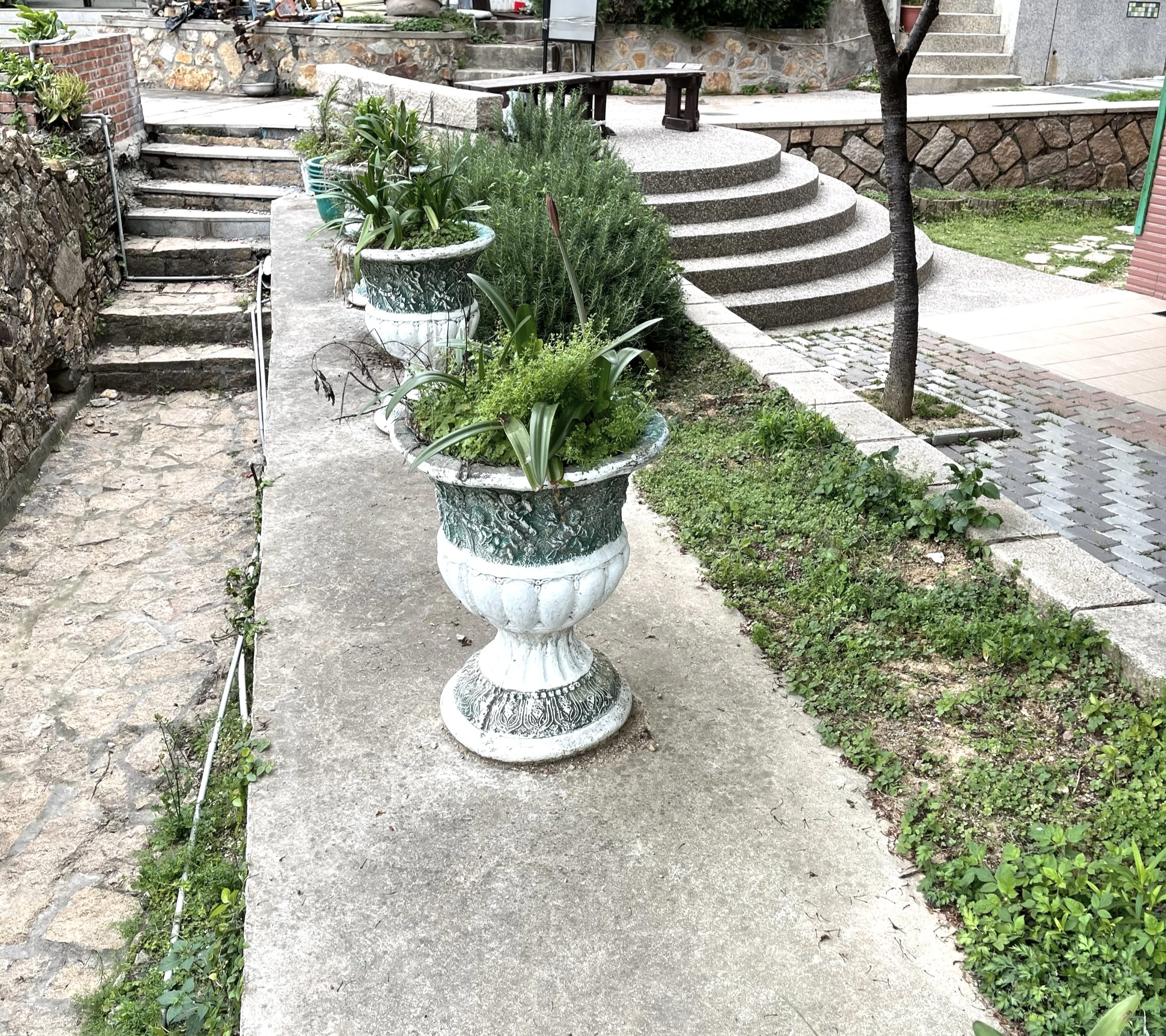 沿踏階看植栽與通行｜實景照片