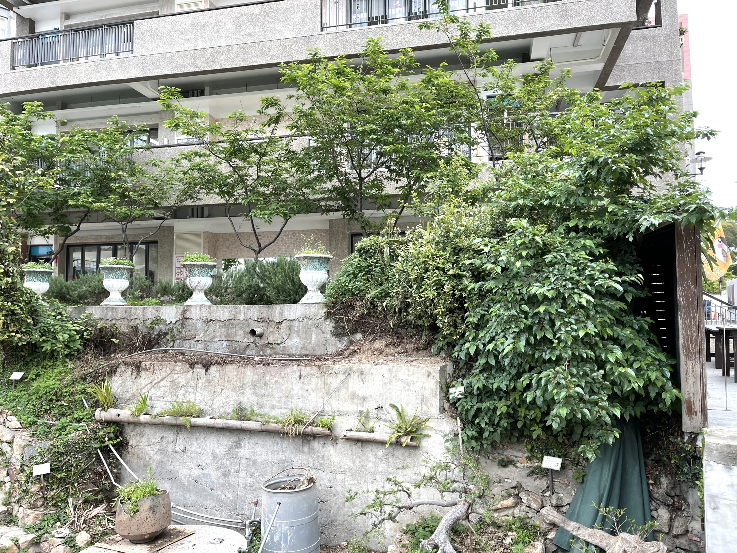 整理之前，先看見材料與植物｜實景照片