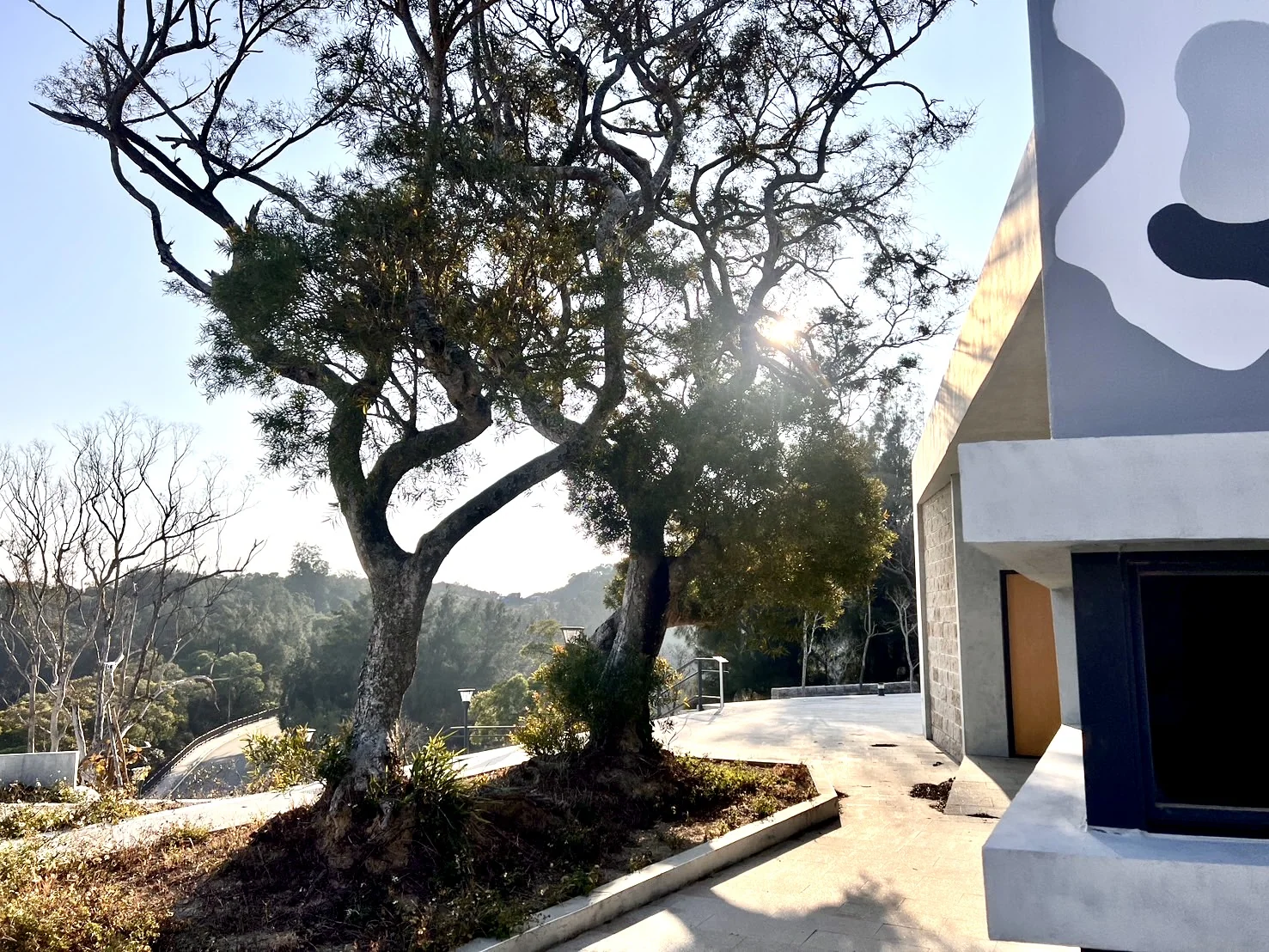 樹木與建築轉角｜空間影像